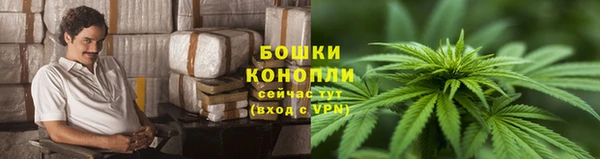 ПСИЛОЦИБИНОВЫЕ ГРИБЫ Апатиты