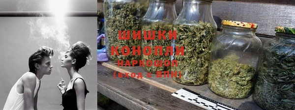 тгк Аша