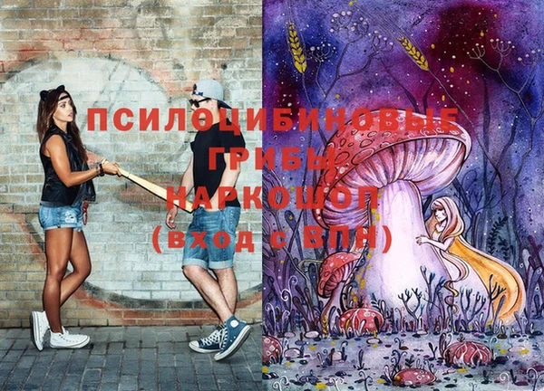 ешки Вяземский