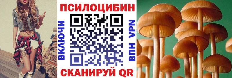 Галлюциногенные грибы прущие грибы  Гагарин 