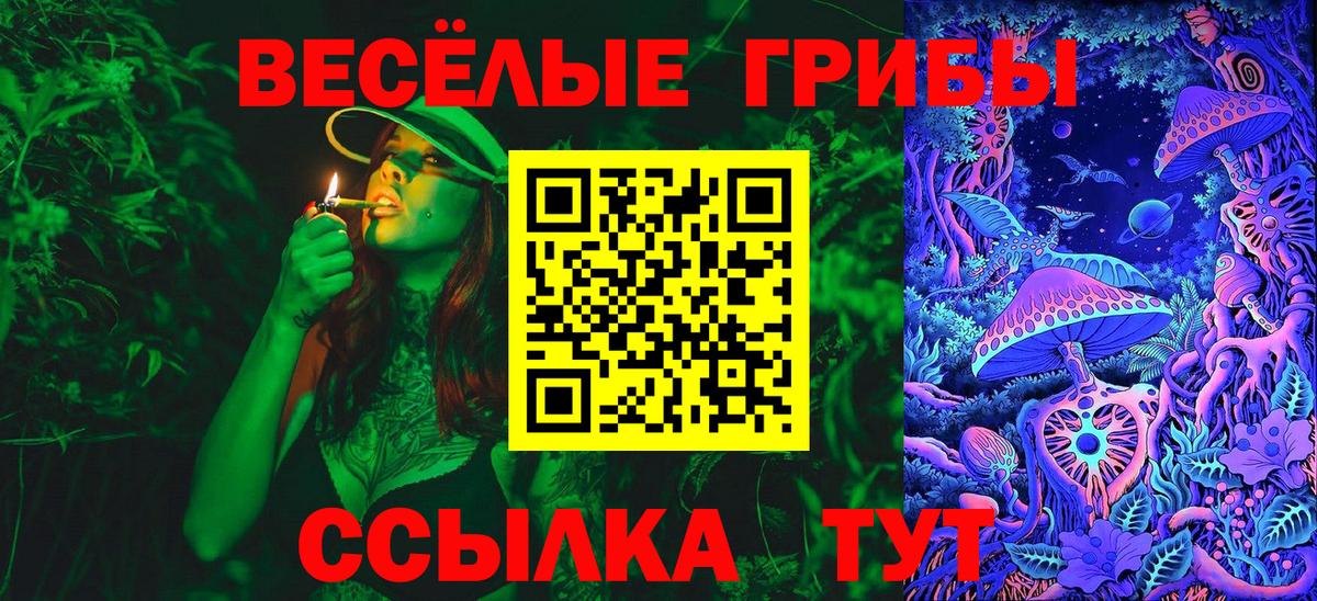Псилоцибиновые грибы Psilocybine cubensis Гагарин